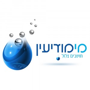 מי מודיעין